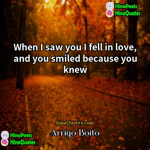 Arrigo Boito Quotes | When I saw you I fell in